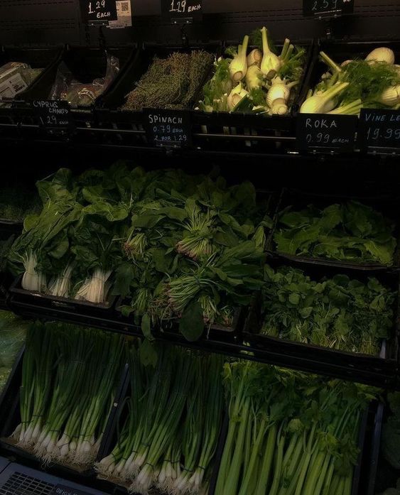 Mindful Eating: A Journey of Nourishment and Connection